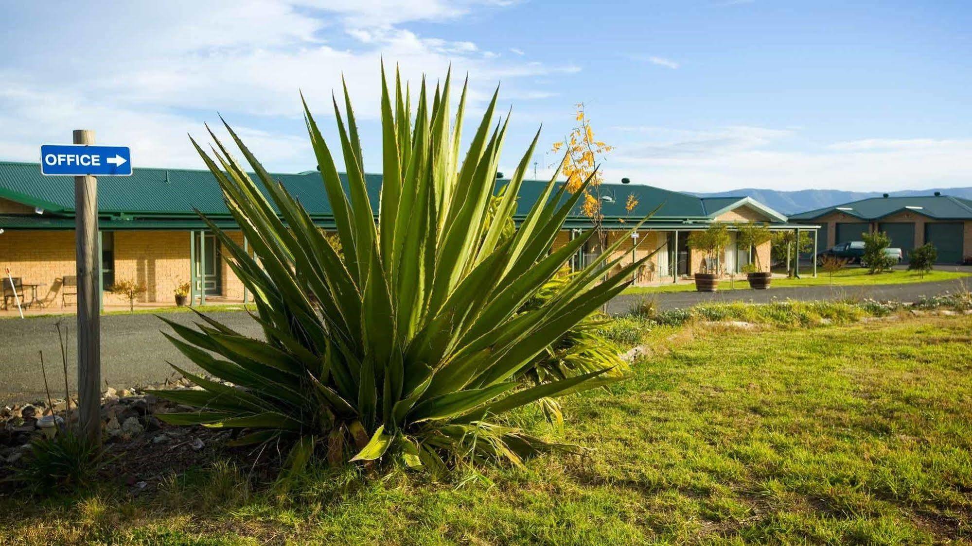 Villa Talga Estate Lovedale Exterior foto
